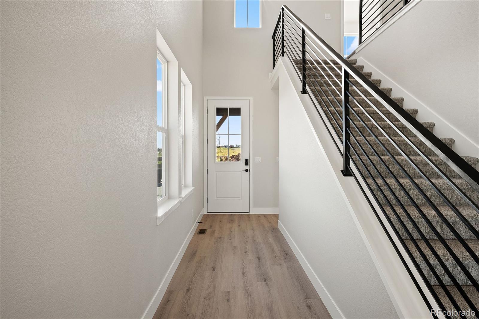 MLS Image #4 for 8669  leaf sedge lane,littleton, Colorado