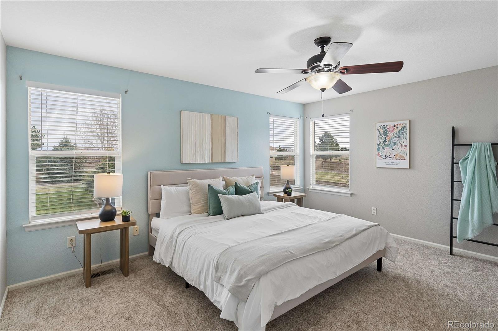 MLS Image #20 for 6380  millbridge avenue,castle rock, Colorado