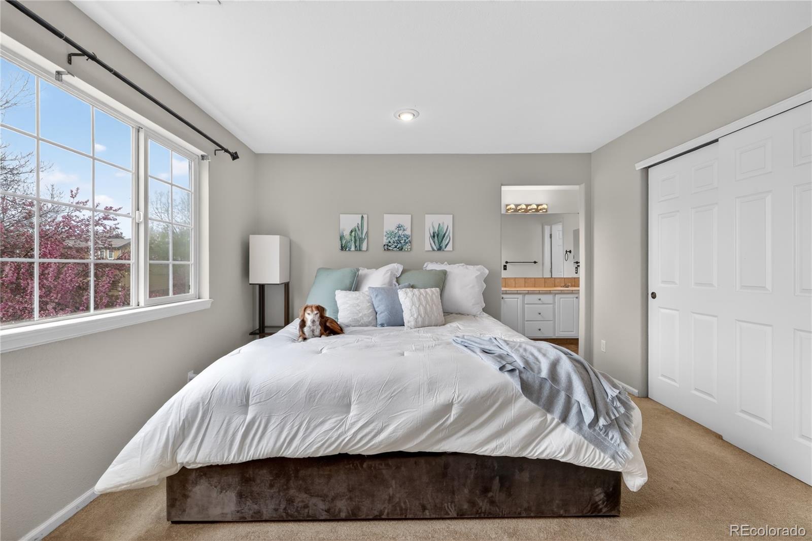 MLS Image #24 for 8342 s pierce way,littleton, Colorado