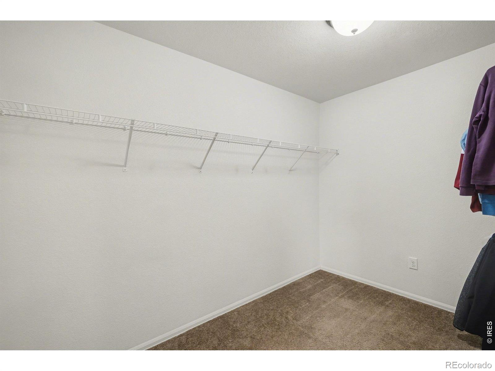 MLS Image #15 for 1542  woodcock street,berthoud, Colorado