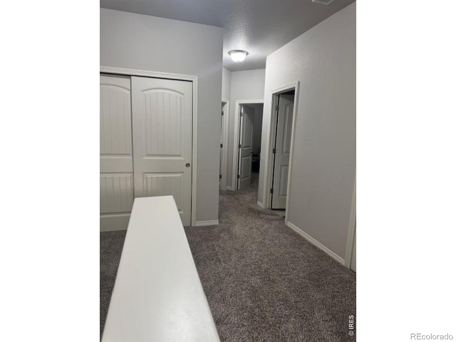 MLS Image #10 for 1691  grand avenue,windsor, Colorado