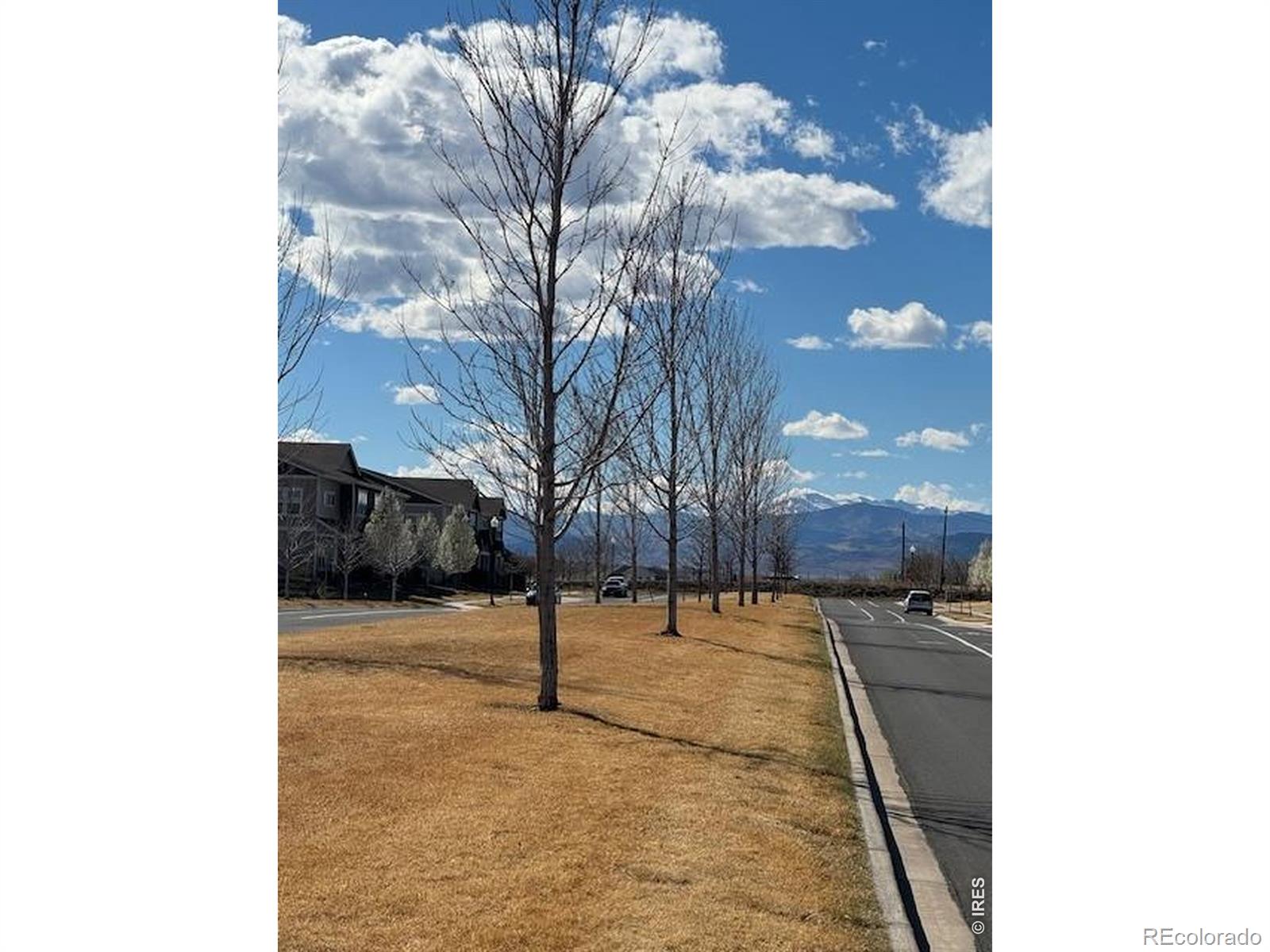 MLS Image #19 for 1691  grand avenue,windsor, Colorado