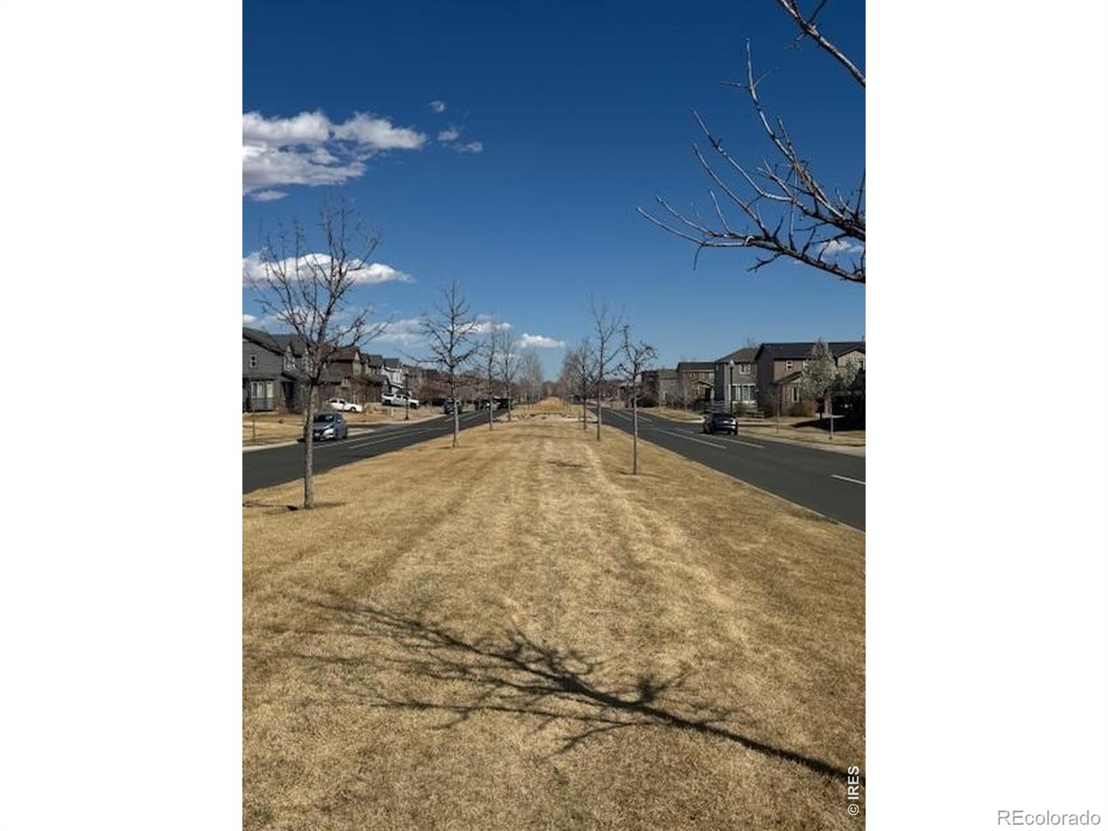 MLS Image #20 for 1691  grand avenue,windsor, Colorado