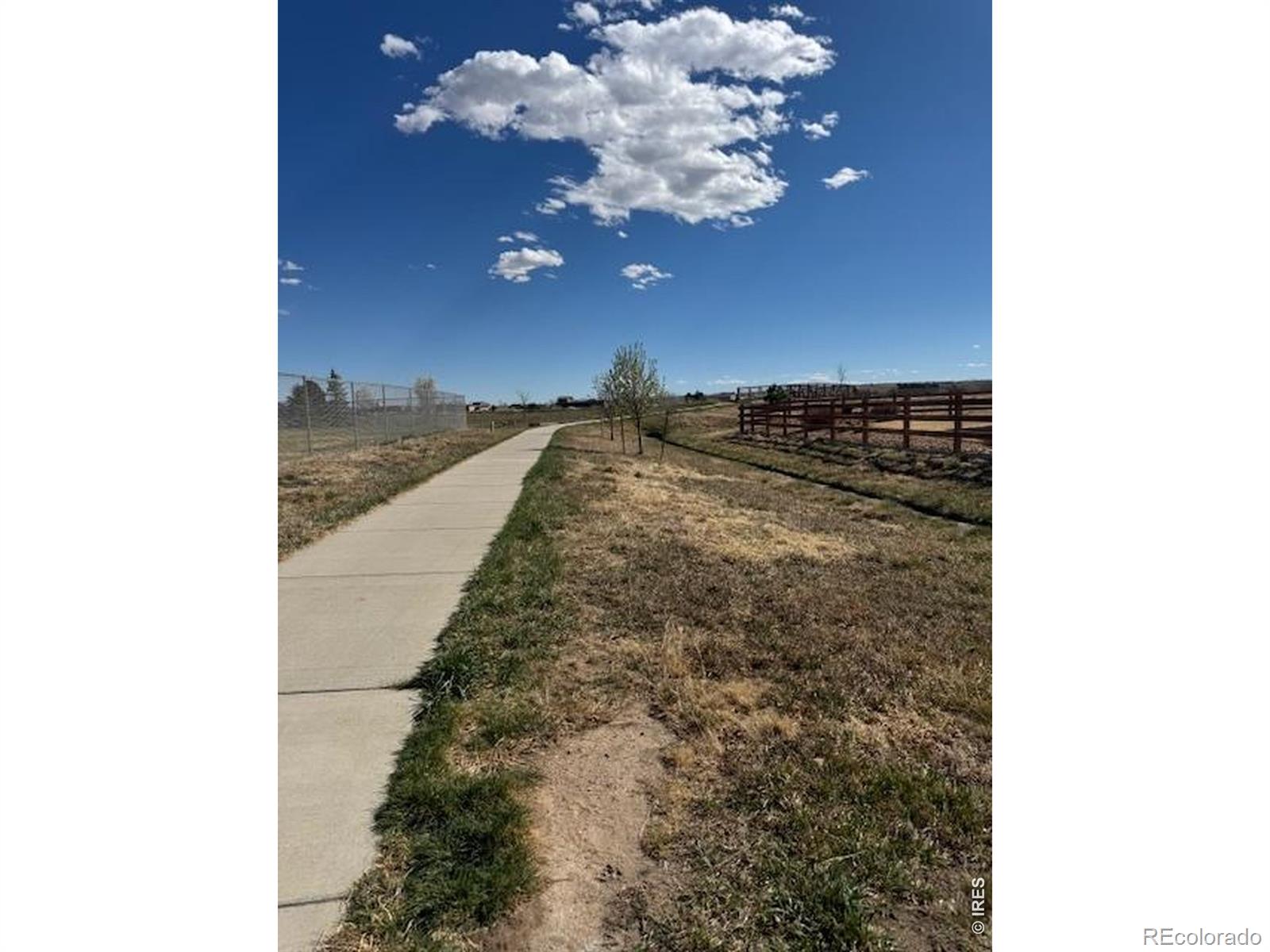 MLS Image #21 for 1691  grand avenue,windsor, Colorado