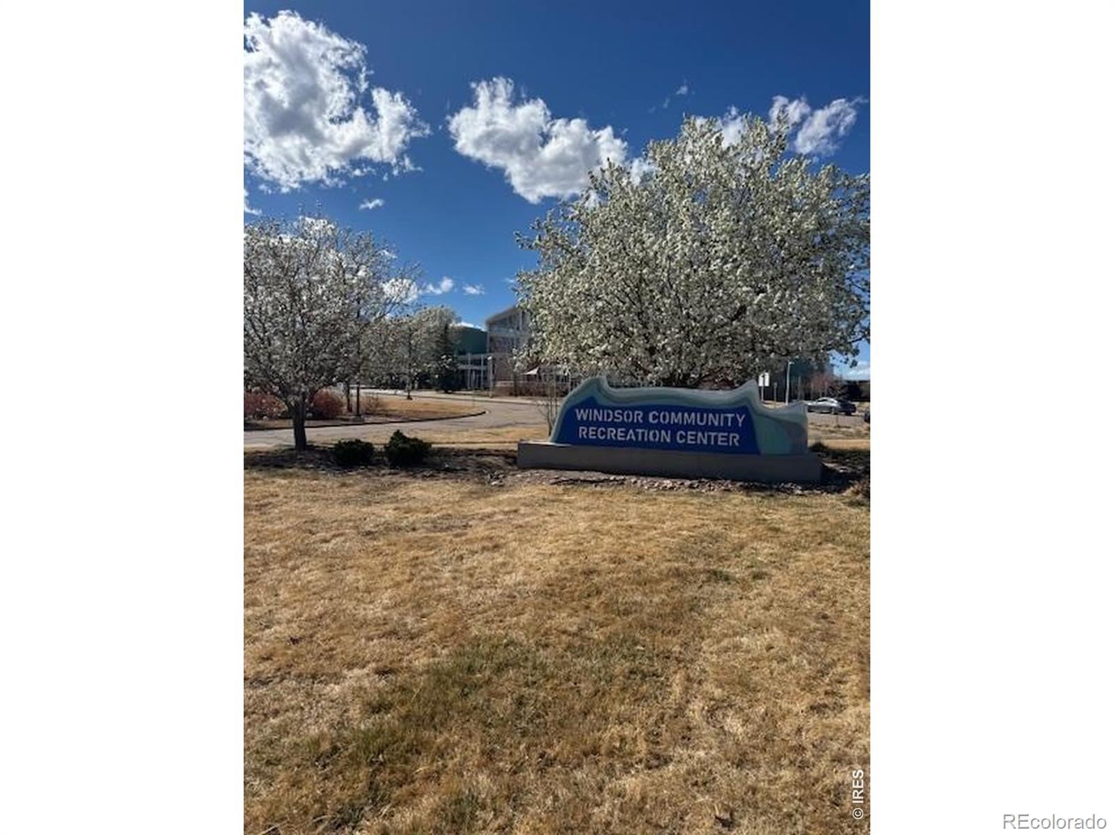 MLS Image #25 for 1691  grand avenue,windsor, Colorado