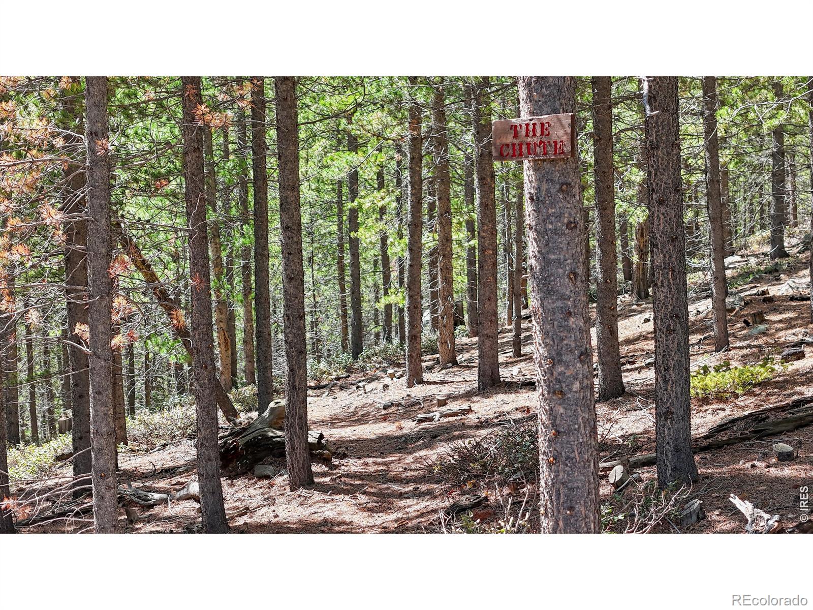 MLS Image #36 for 51  tenino court,red feather lakes, Colorado