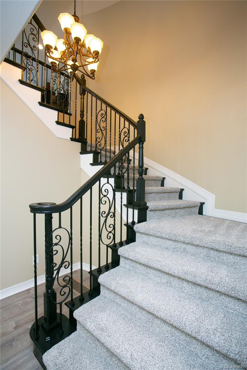 MLS Image #23 for 6522  lynch lane,castle rock, Colorado
