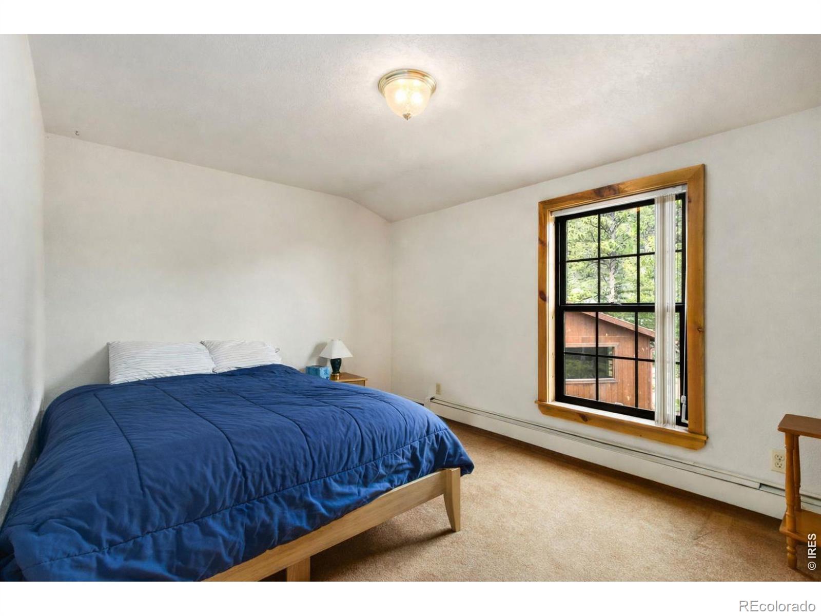 MLS Image #16 for 231  modoc court,red feather lakes, Colorado