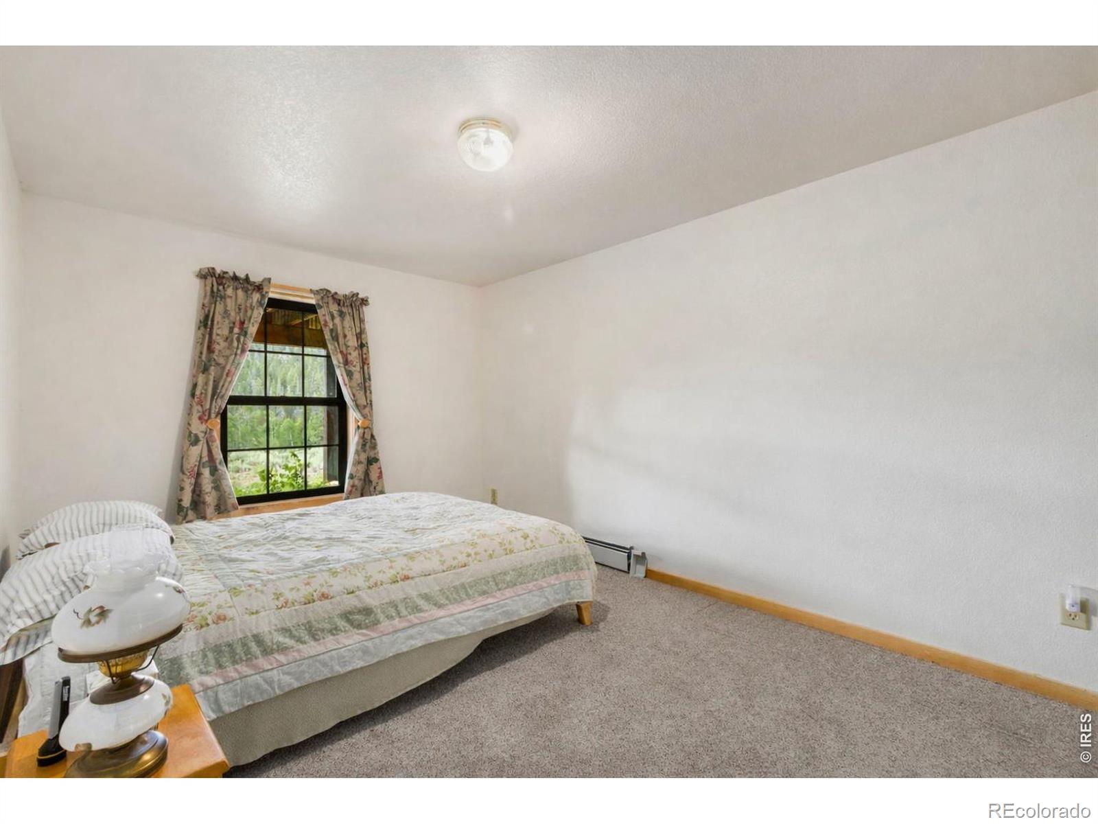 MLS Image #20 for 231  modoc court,red feather lakes, Colorado