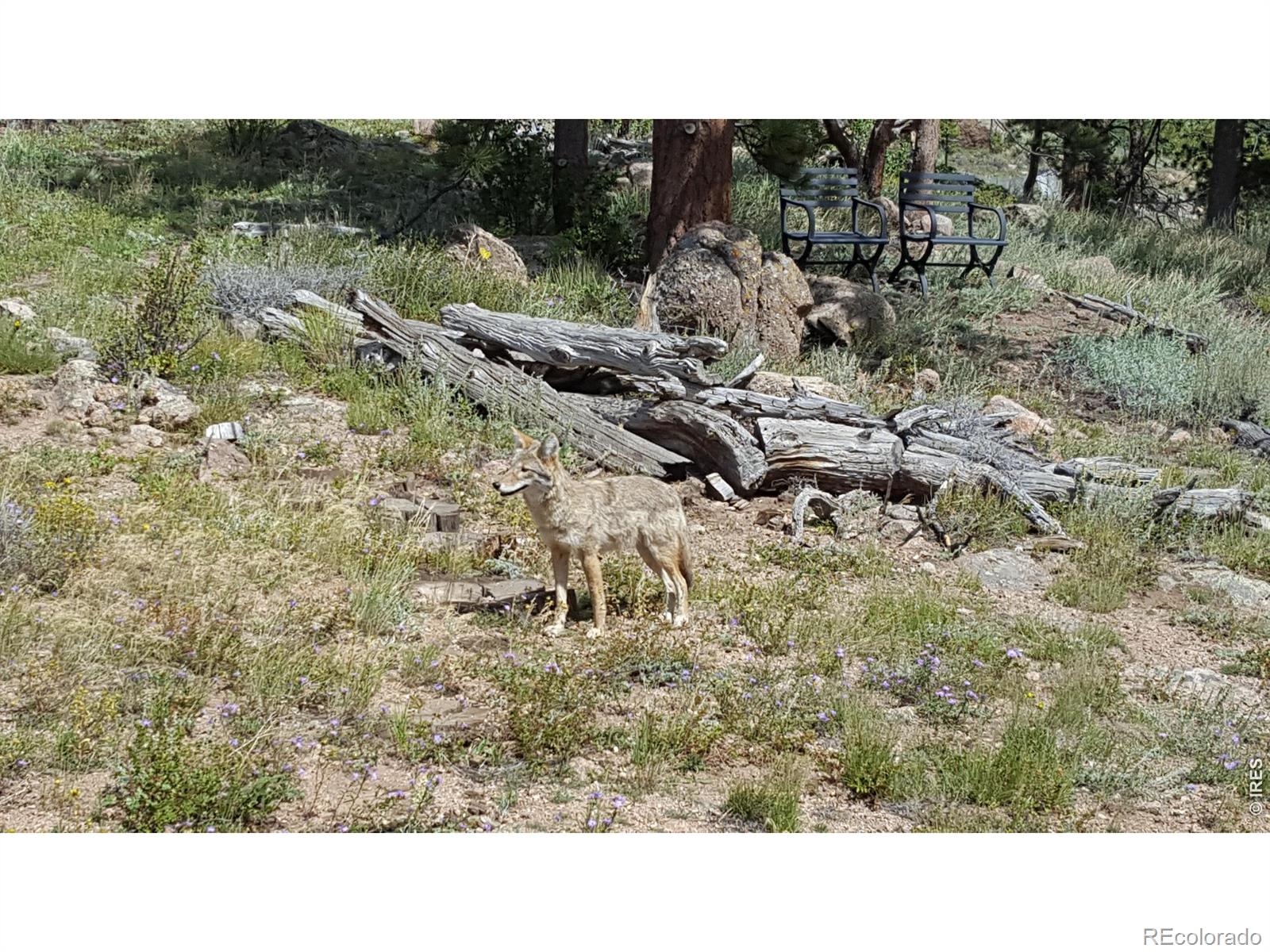 MLS Image #33 for 231  modoc court,red feather lakes, Colorado