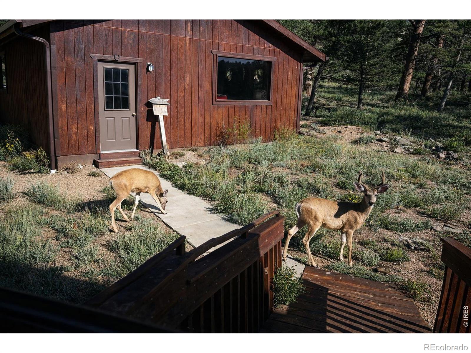 MLS Image #40 for 231  modoc court,red feather lakes, Colorado
