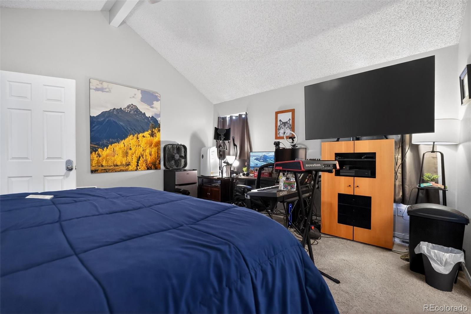 MLS Image #12 for 10018  king street,westminster, Colorado