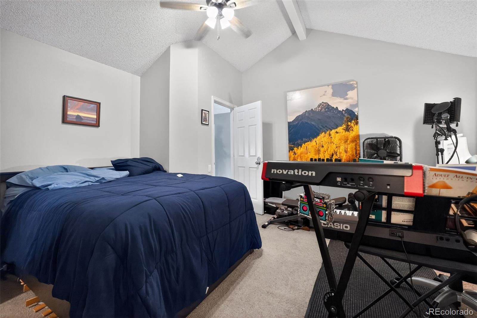MLS Image #13 for 10018  king street,westminster, Colorado