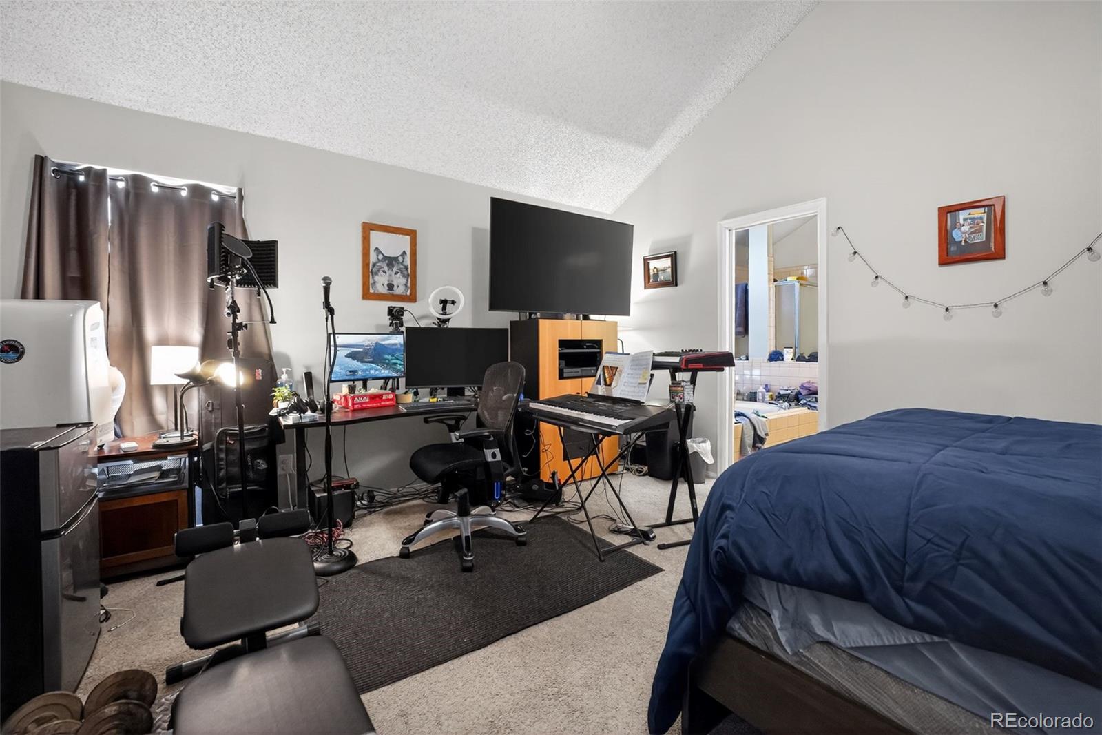 MLS Image #14 for 10018  king street,westminster, Colorado