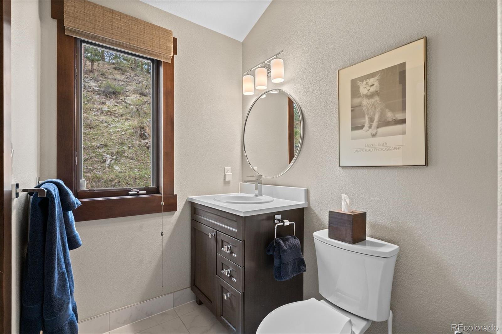 MLS Image #30 for 1733  swede gulch road,evergreen, Colorado