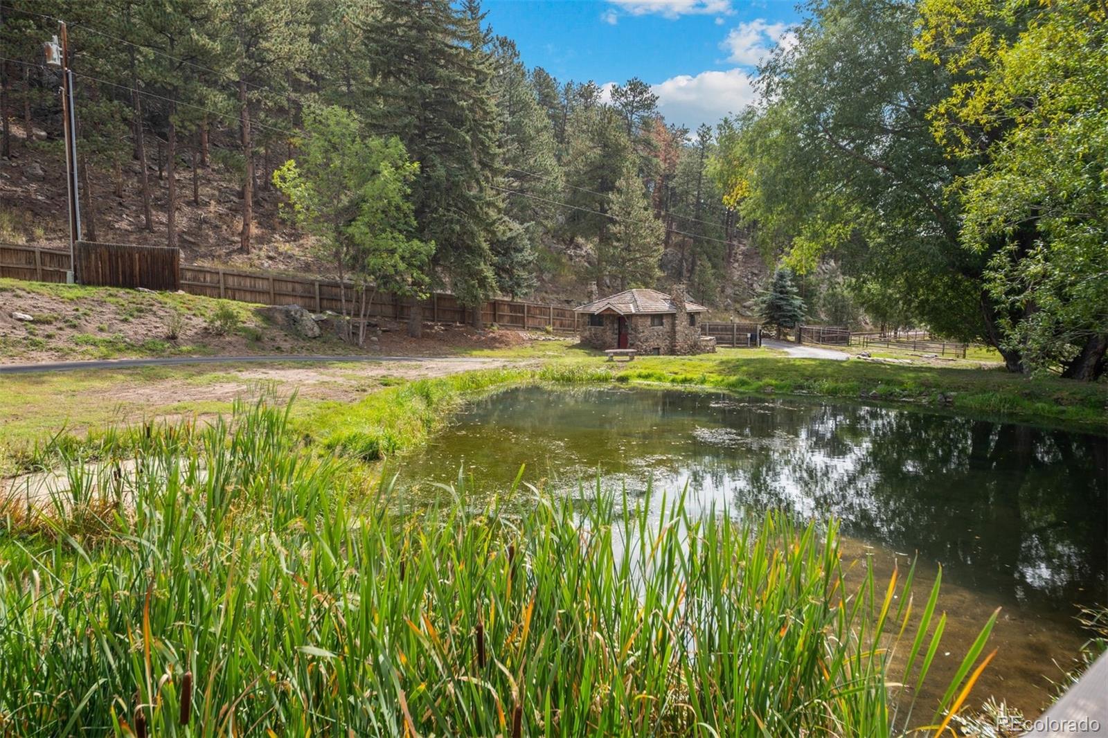 MLS Image #4 for 1733  swede gulch road,evergreen, Colorado