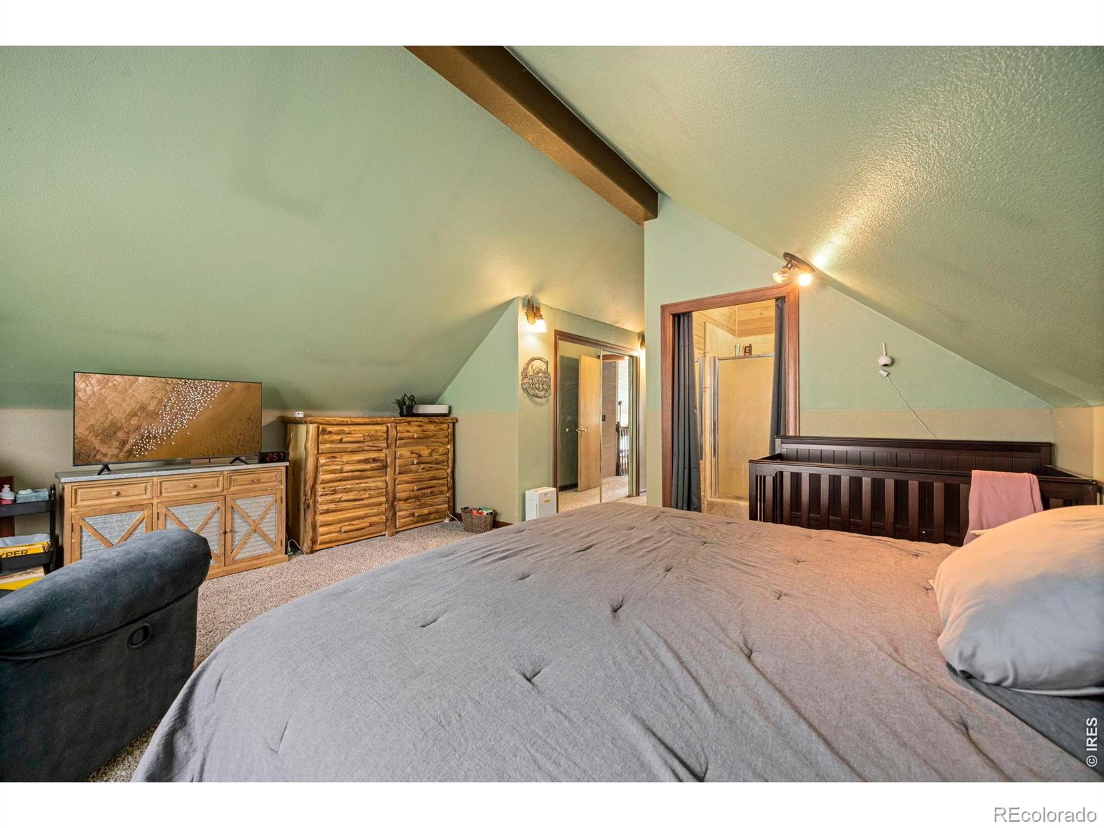 MLS Image #13 for 228  mount everest drive,livermore, Colorado