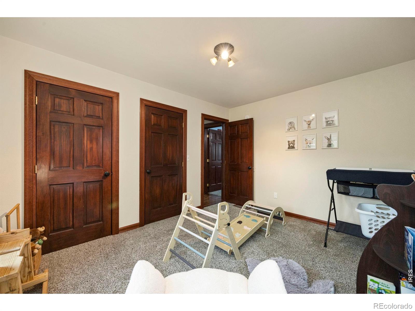 MLS Image #17 for 228  mount everest drive,livermore, Colorado