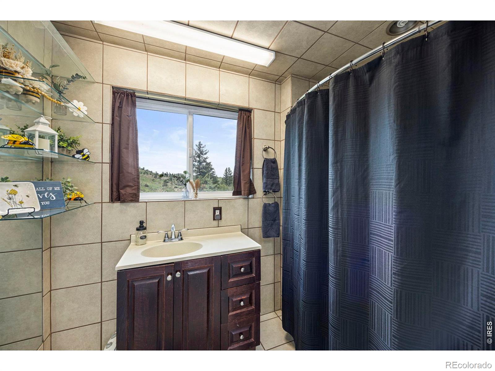 MLS Image #19 for 228  mount everest drive,livermore, Colorado