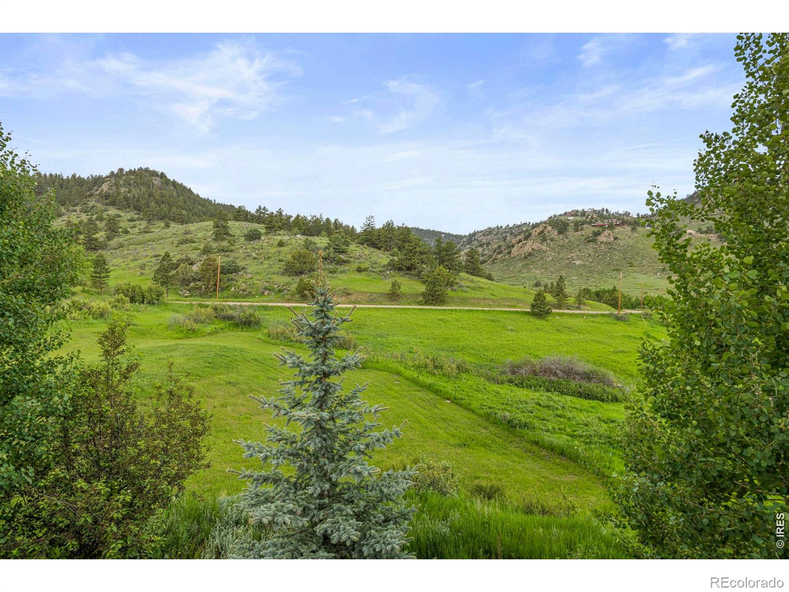 MLS Image #29 for 228  mount everest drive,livermore, Colorado