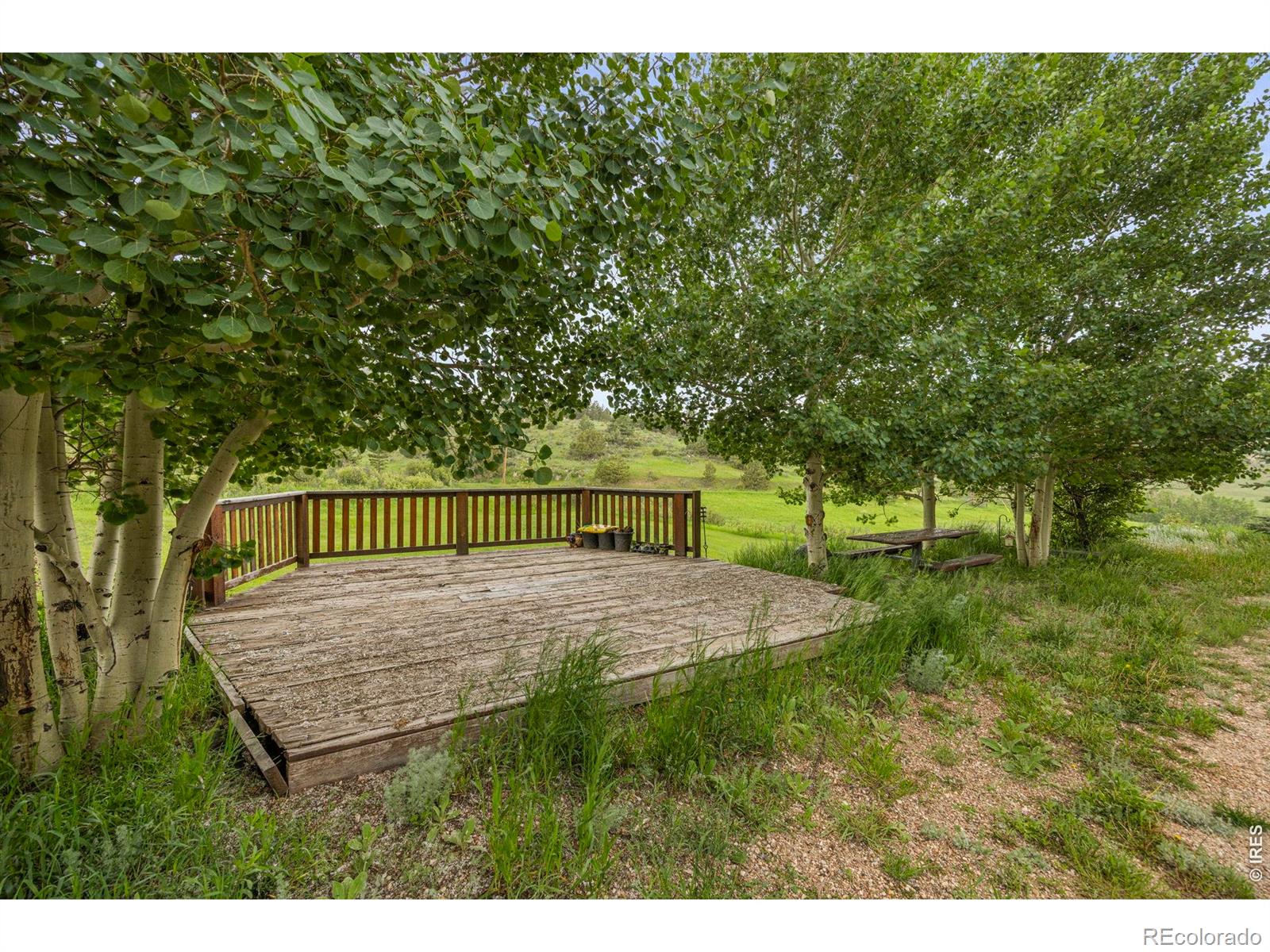 MLS Image #30 for 228  mount everest drive,livermore, Colorado