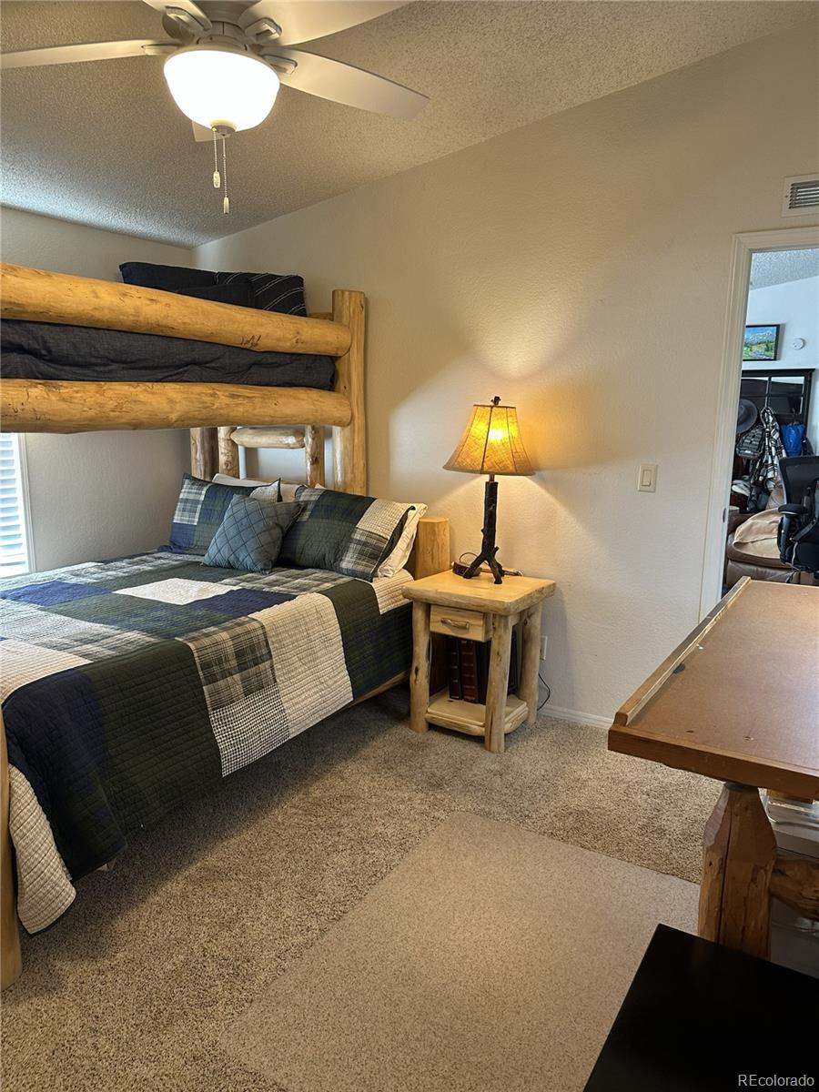 MLS Image #22 for 94  nickerson avenue,poncha springs, Colorado