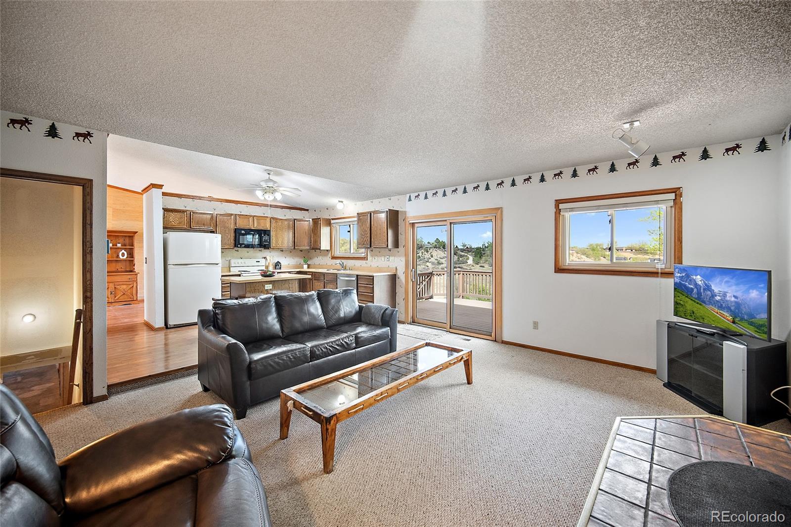 MLS Image #10 for 1453  friendship lane,colorado springs, Colorado