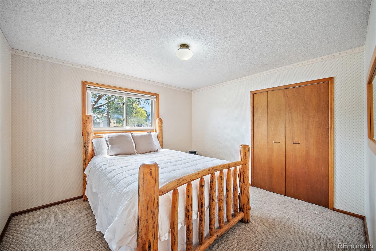 MLS Image #12 for 1453  friendship lane,colorado springs, Colorado