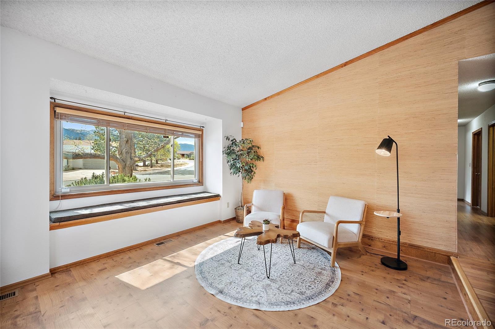 MLS Image #4 for 1453  friendship lane,colorado springs, Colorado
