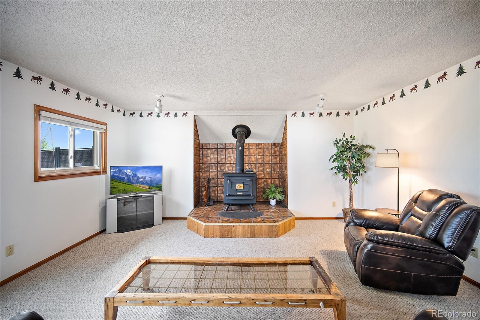 MLS Image #9 for 1453  friendship lane,colorado springs, Colorado
