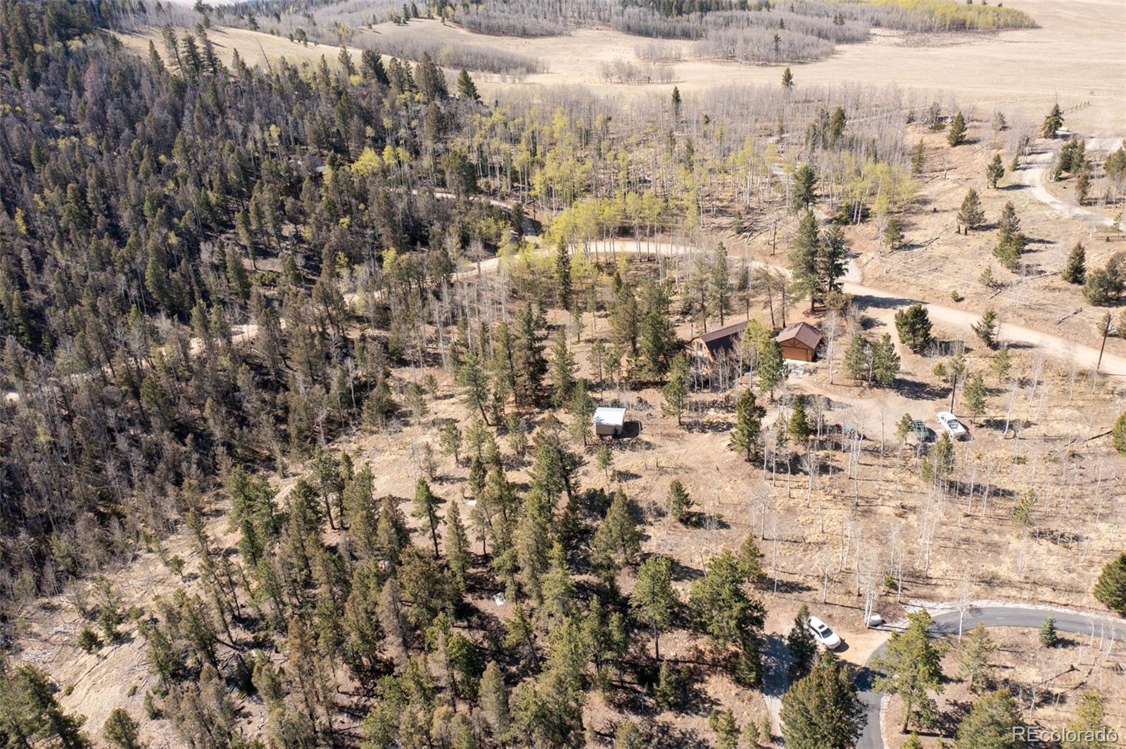 MLS Image #10 for 447  blacksmith road,hartsel, Colorado