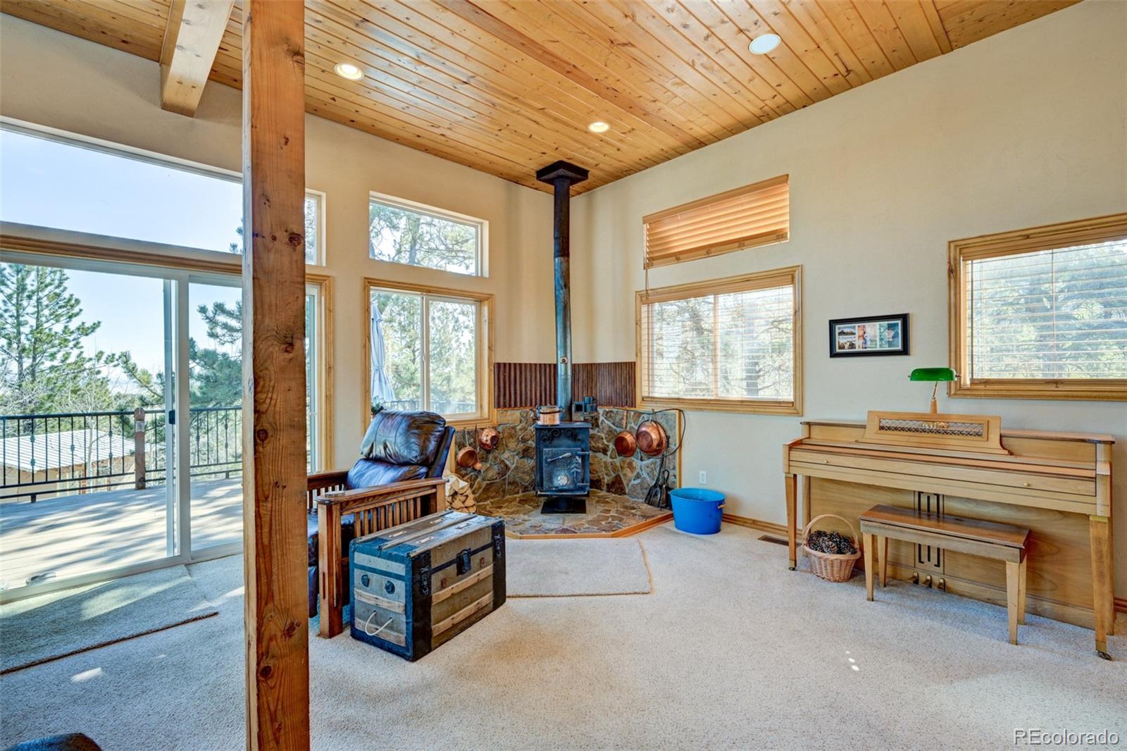 MLS Image #15 for 447  blacksmith road,hartsel, Colorado