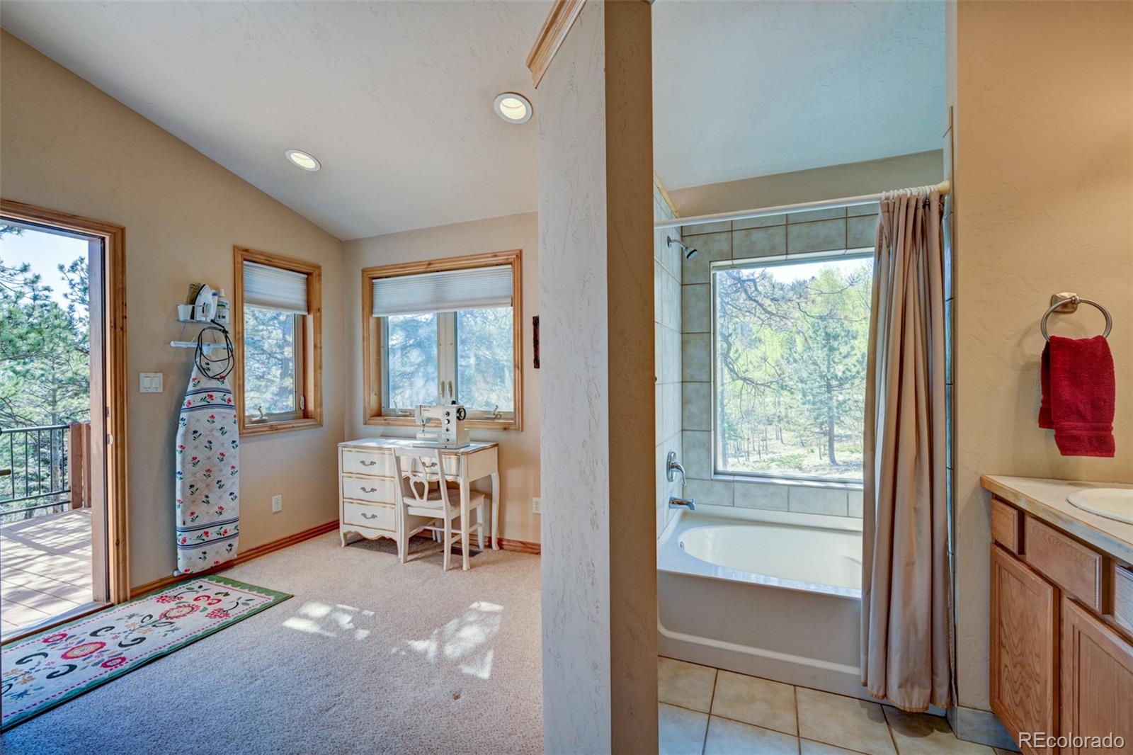 MLS Image #29 for 447  blacksmith road,hartsel, Colorado