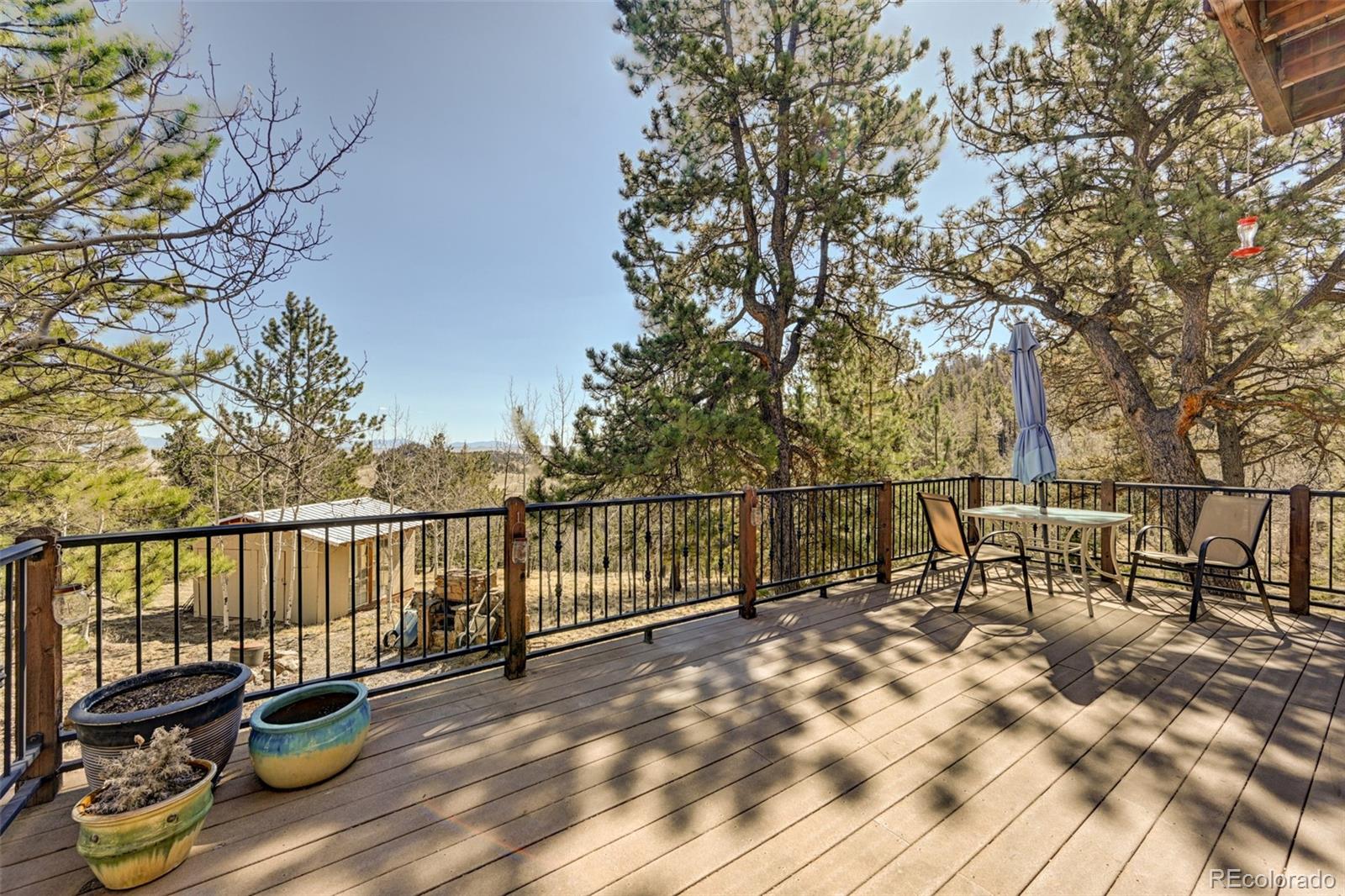 MLS Image #3 for 447  blacksmith road,hartsel, Colorado