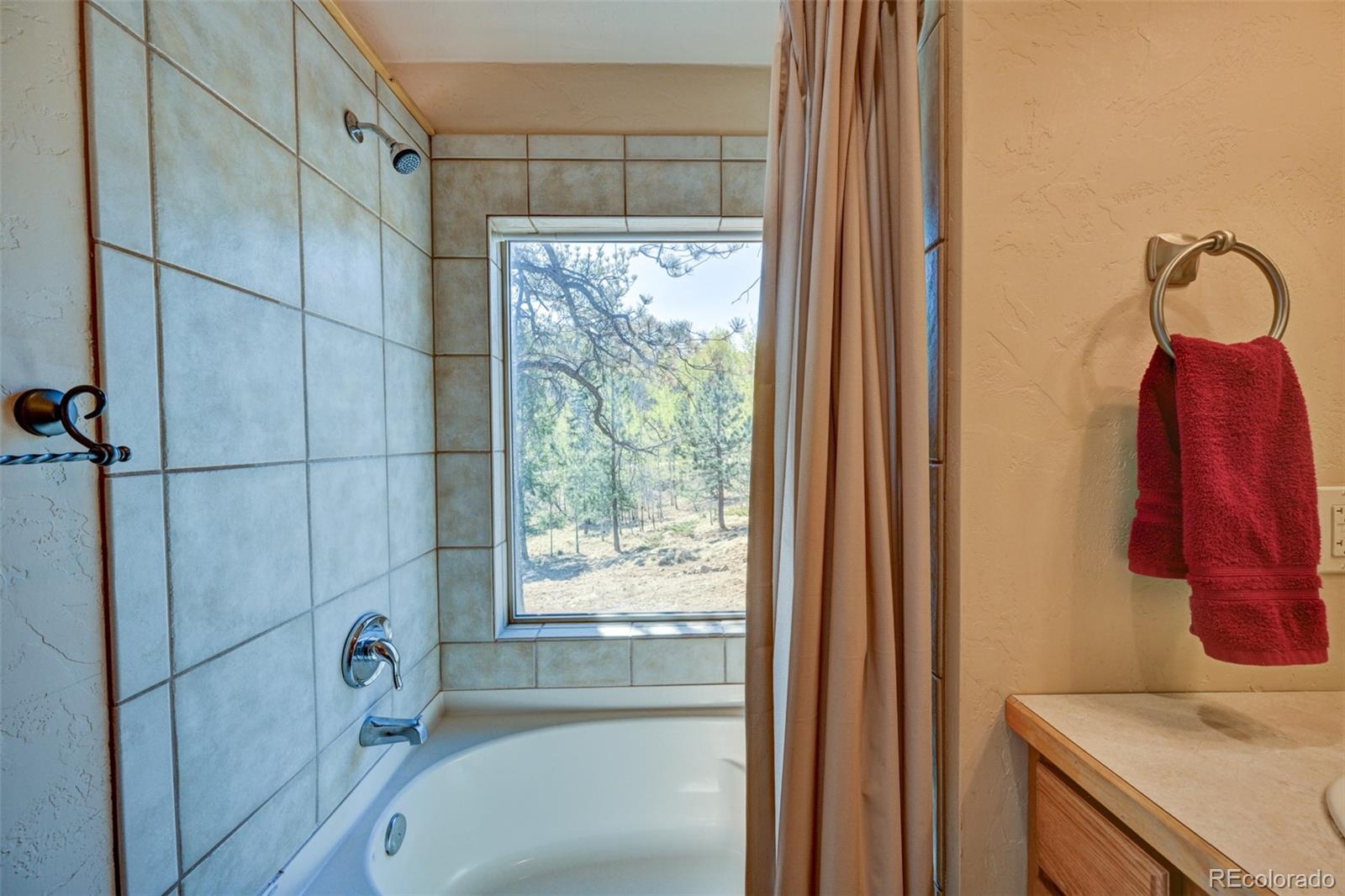 MLS Image #30 for 447  blacksmith road,hartsel, Colorado