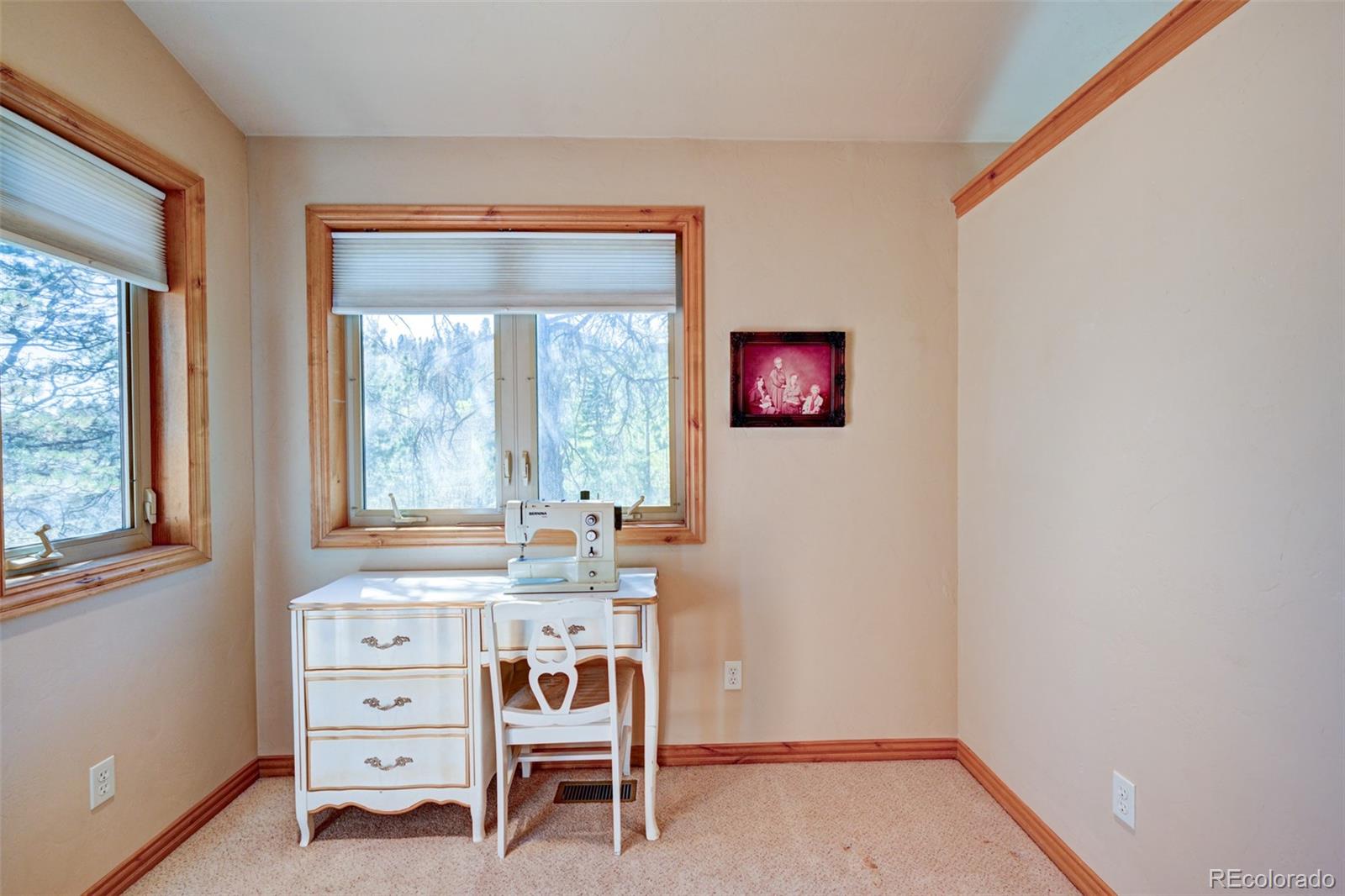 MLS Image #33 for 447  blacksmith road,hartsel, Colorado