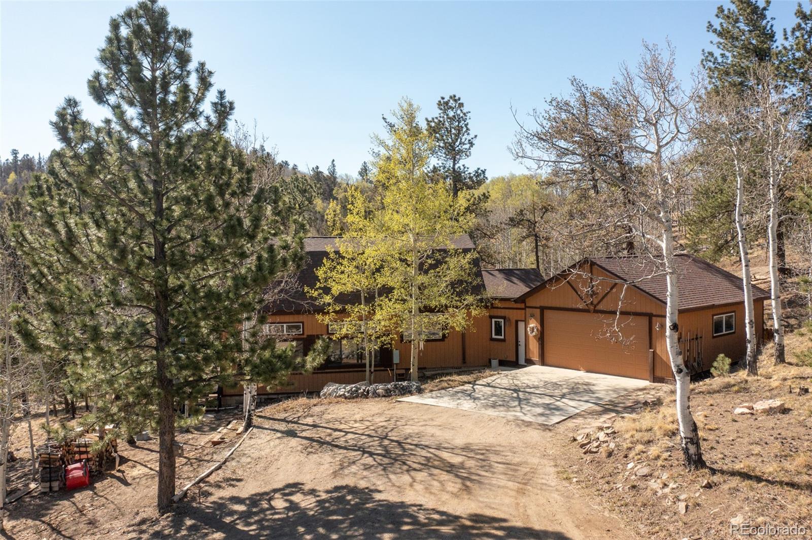 MLS Image #6 for 447  blacksmith road,hartsel, Colorado