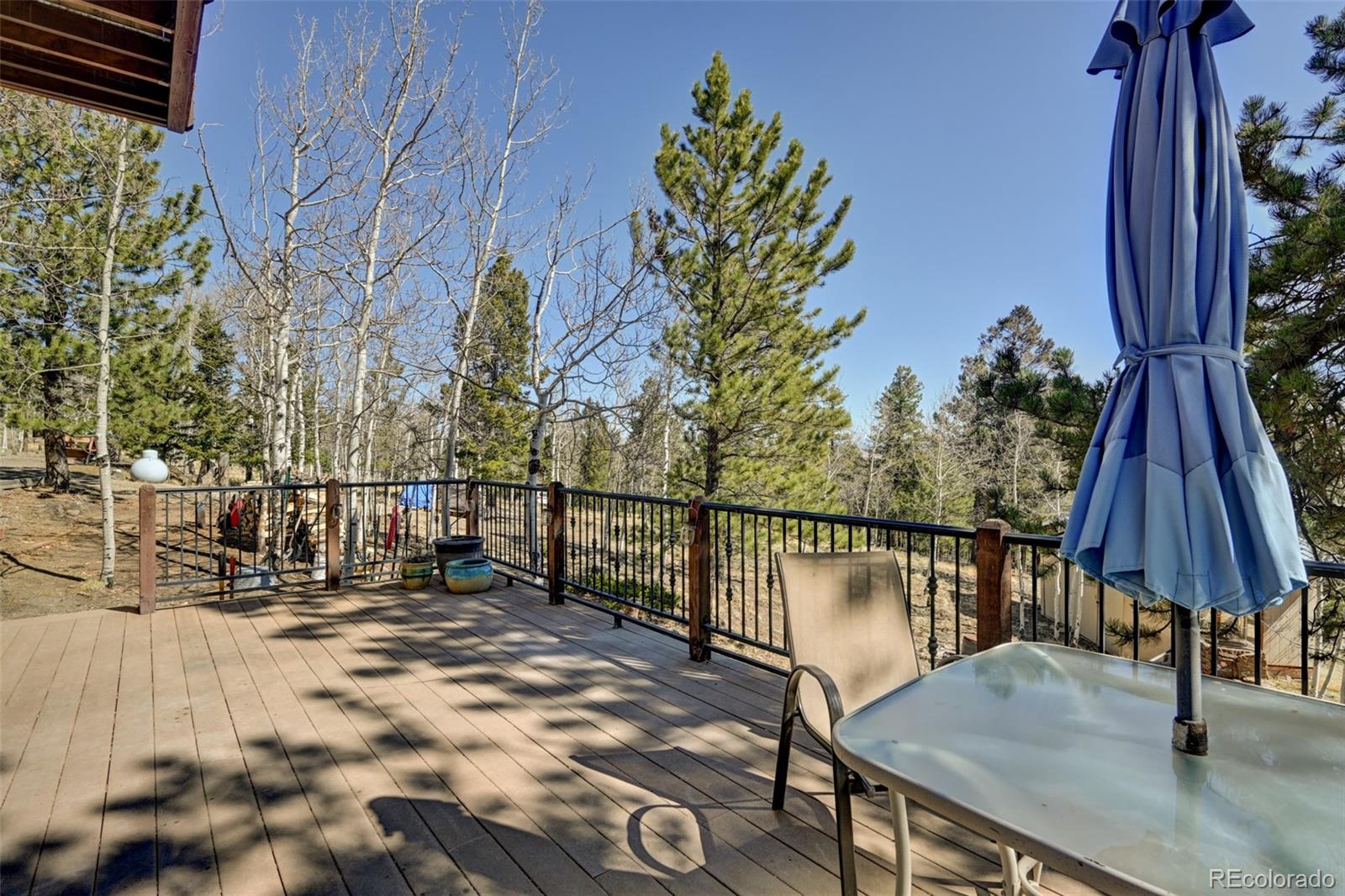 MLS Image #9 for 447  blacksmith road,hartsel, Colorado