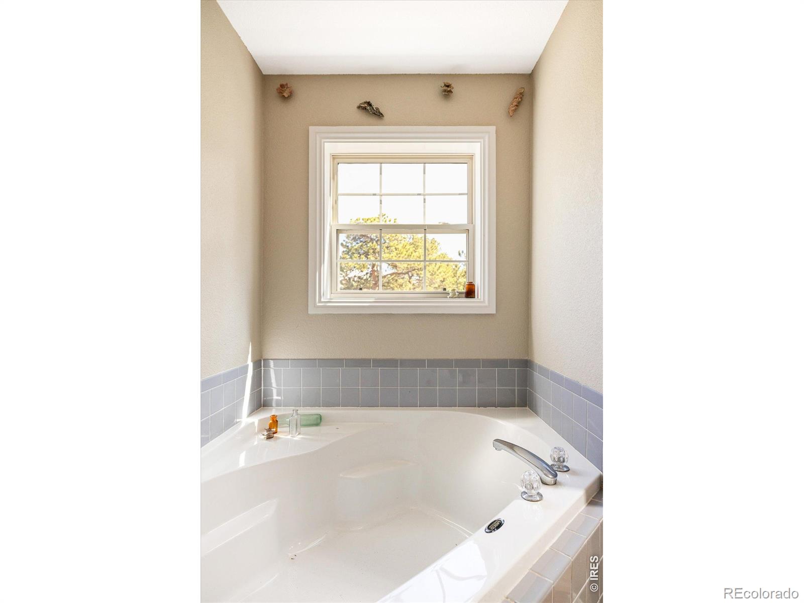 MLS Image #19 for 149  rockledge circle,lyons, Colorado