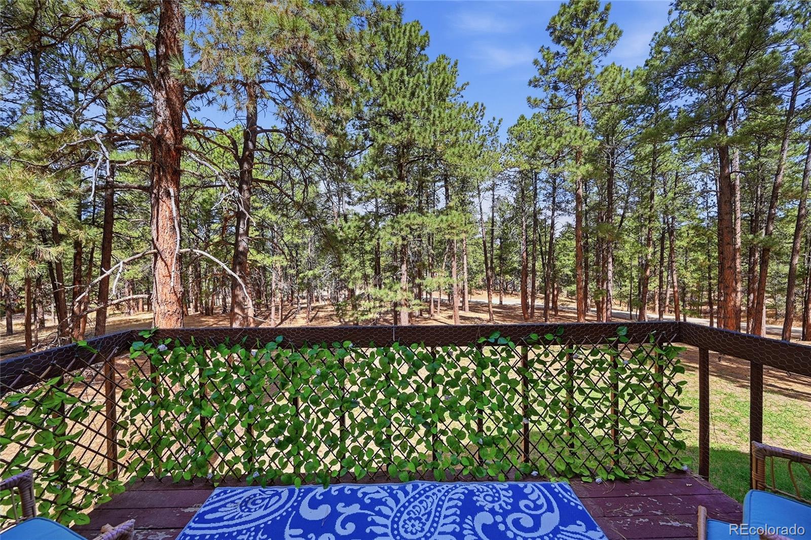 MLS Image #18 for 4724  deer trail,elizabeth, Colorado