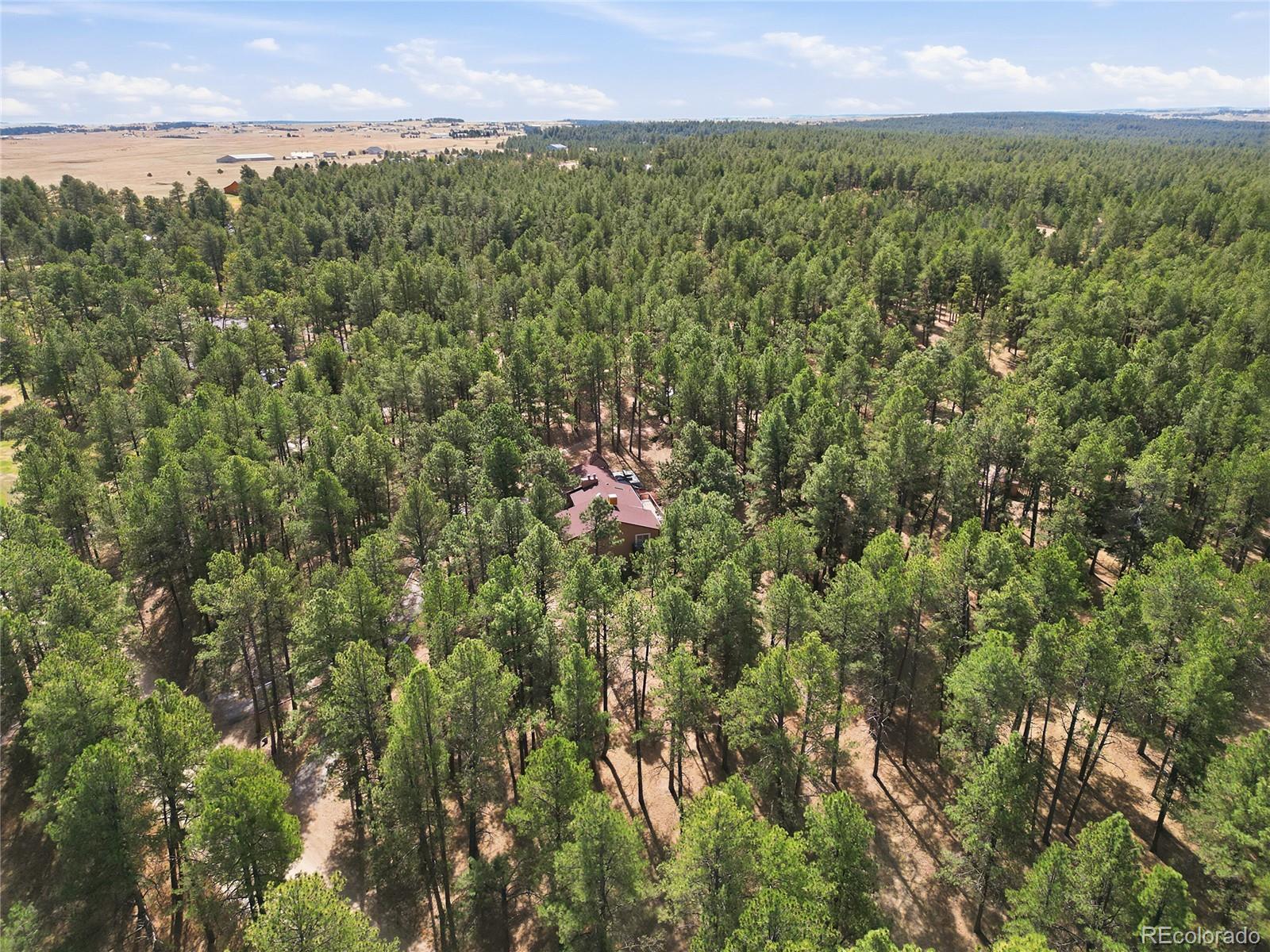 MLS Image #45 for 4724  deer trail,elizabeth, Colorado