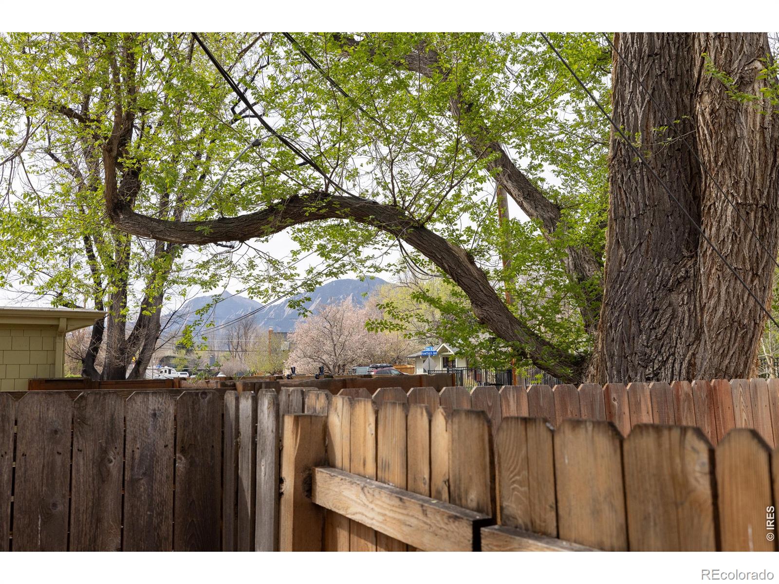MLS Image #20 for 3320  23rd street,boulder, Colorado
