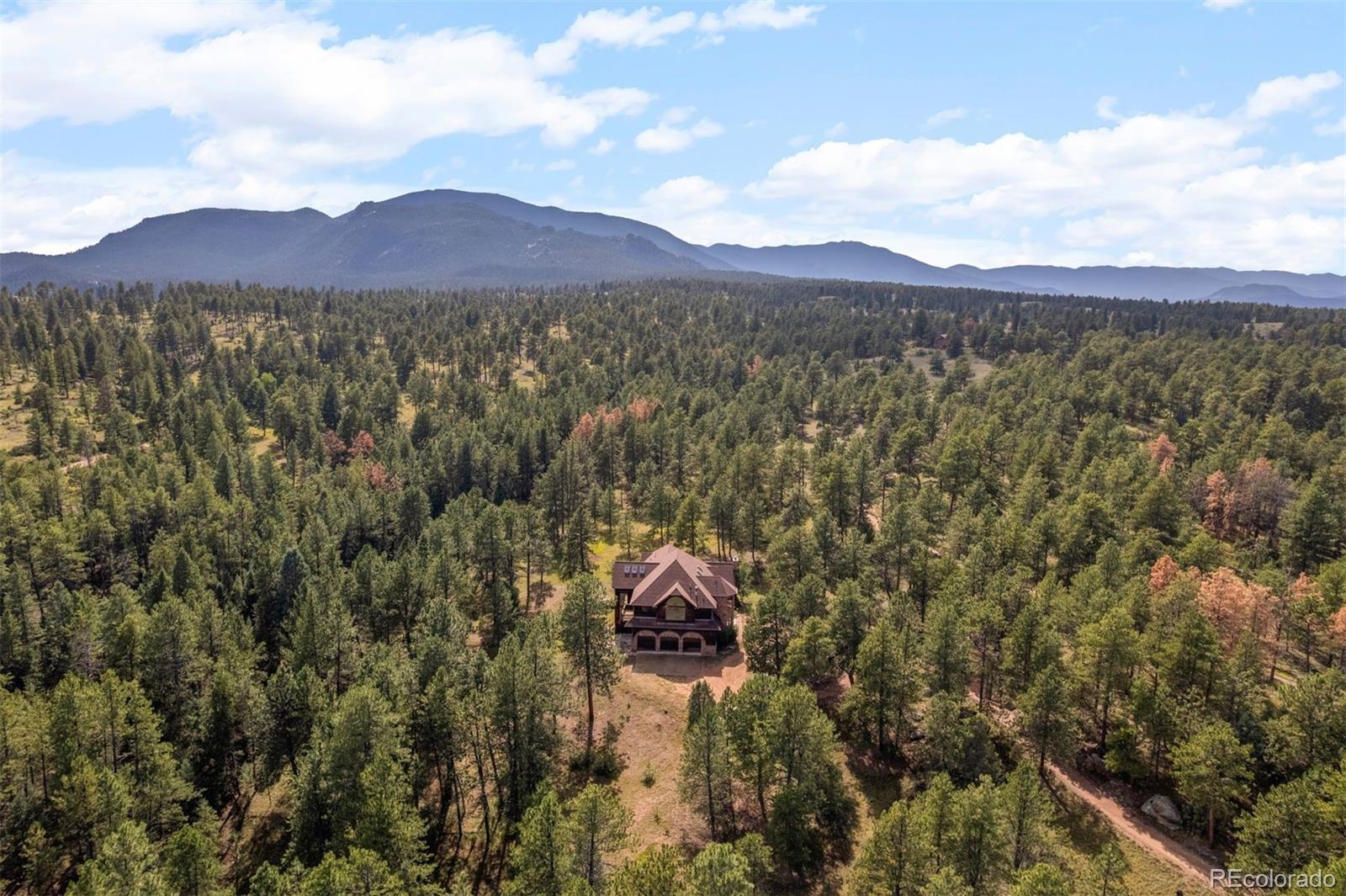 MLS Image #1 for 21206  spring creek road,buffalo creek, Colorado