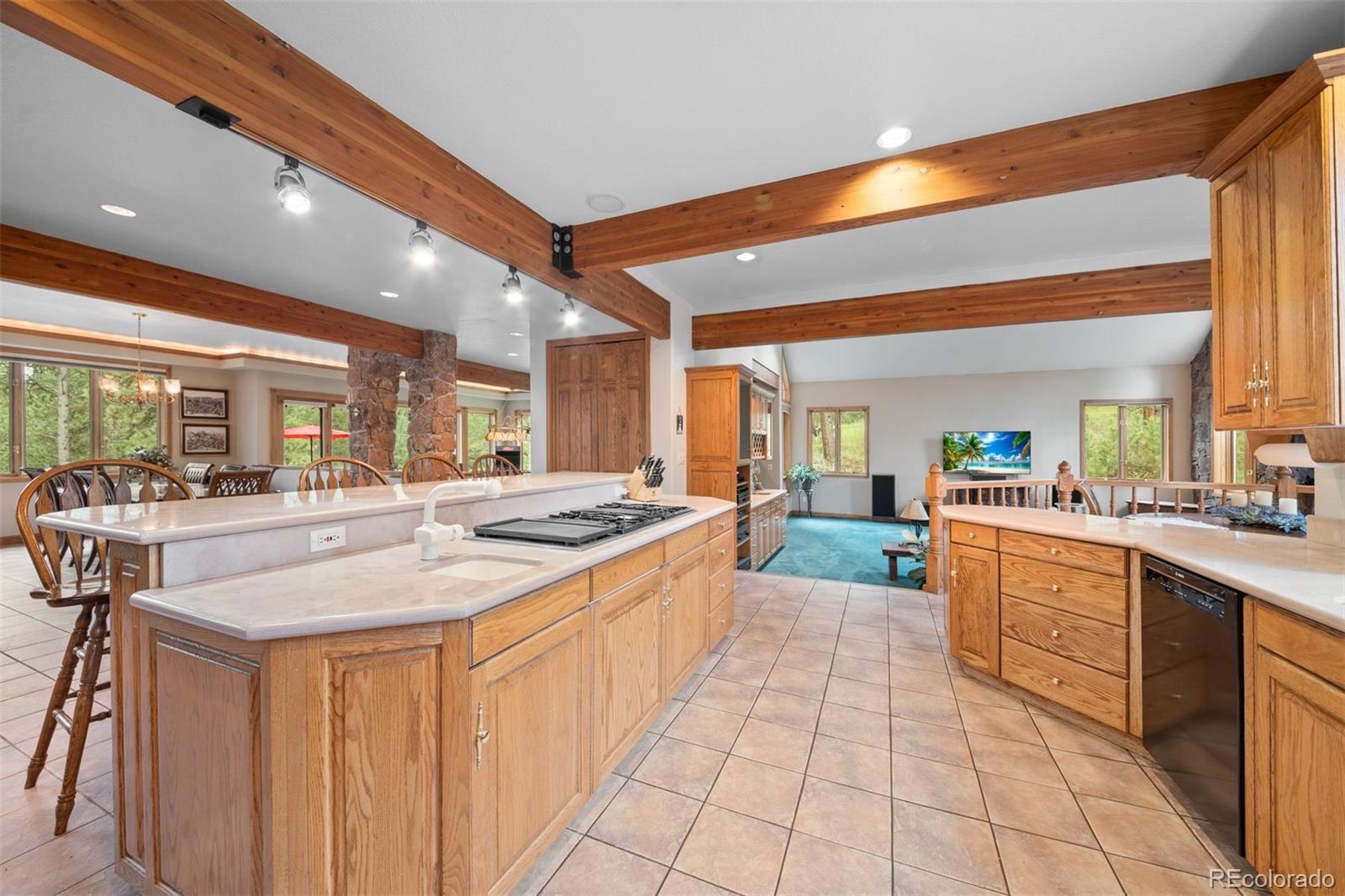 MLS Image #13 for 21206  spring creek road,buffalo creek, Colorado