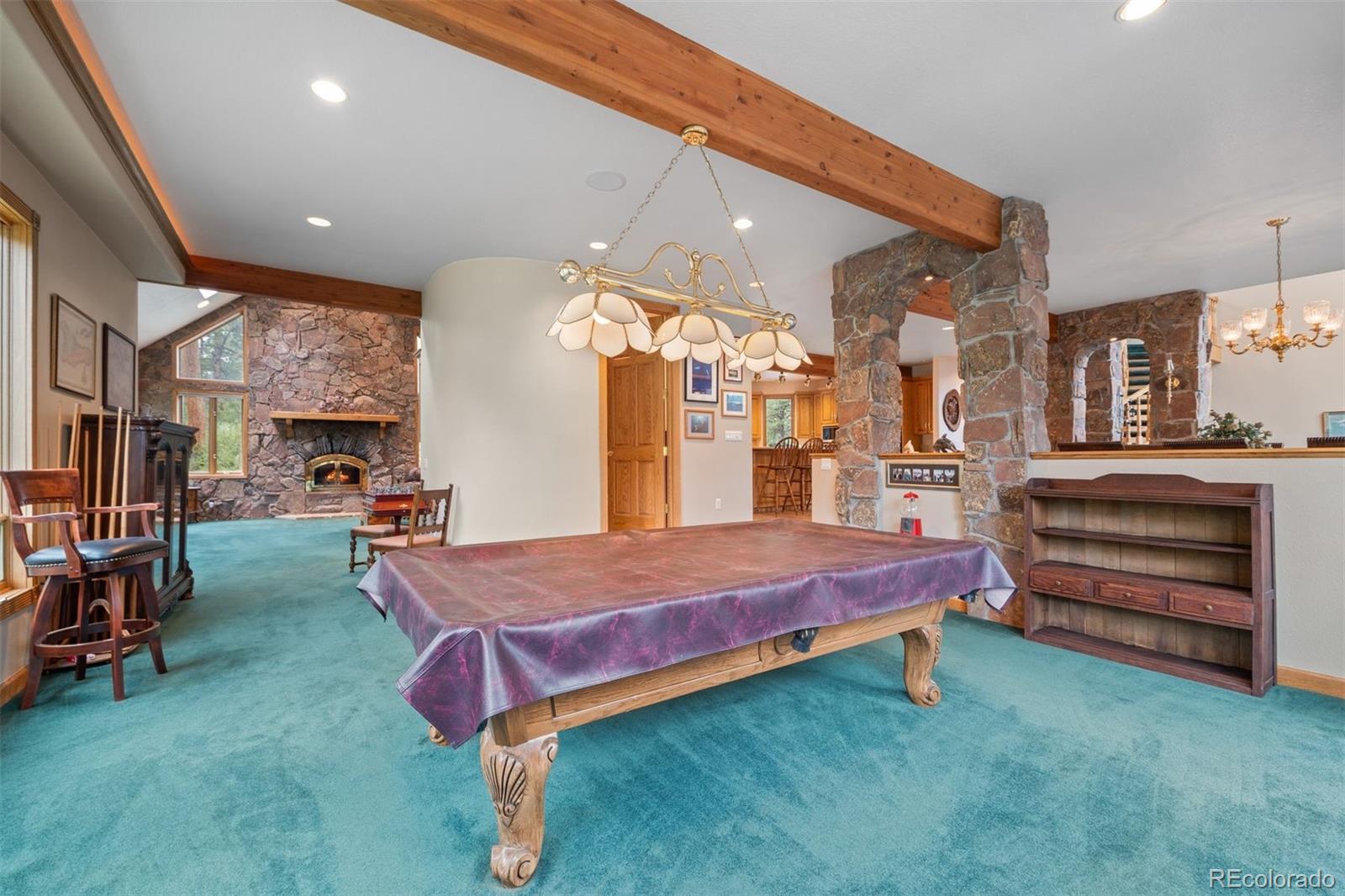 MLS Image #19 for 21206  spring creek road,buffalo creek, Colorado