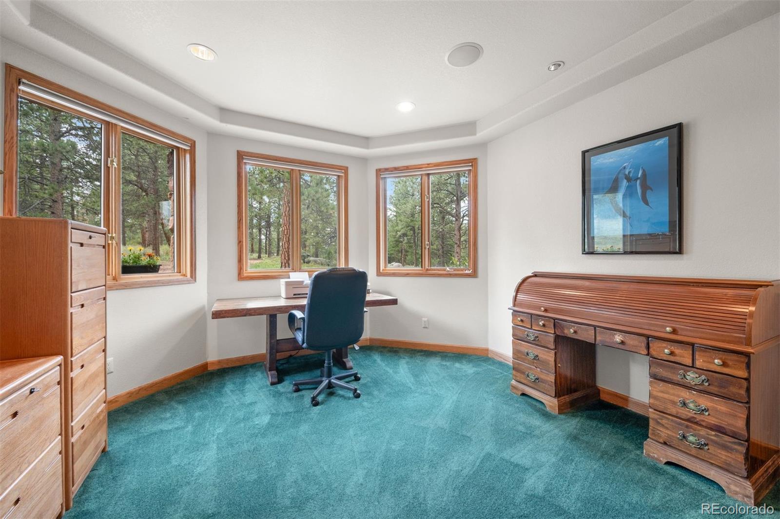 MLS Image #33 for 21206  spring creek road,buffalo creek, Colorado