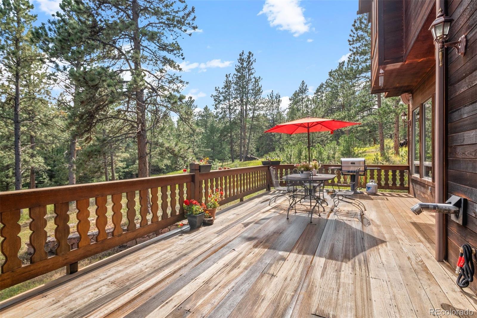 MLS Image #39 for 21206  spring creek road,buffalo creek, Colorado