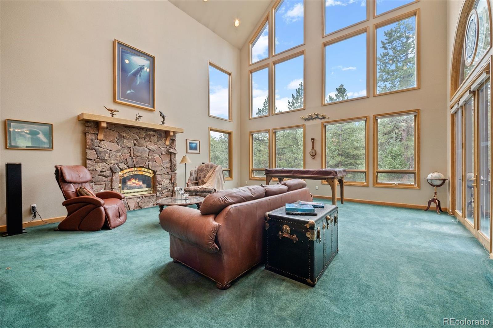 MLS Image #4 for 21206  spring creek road,buffalo creek, Colorado