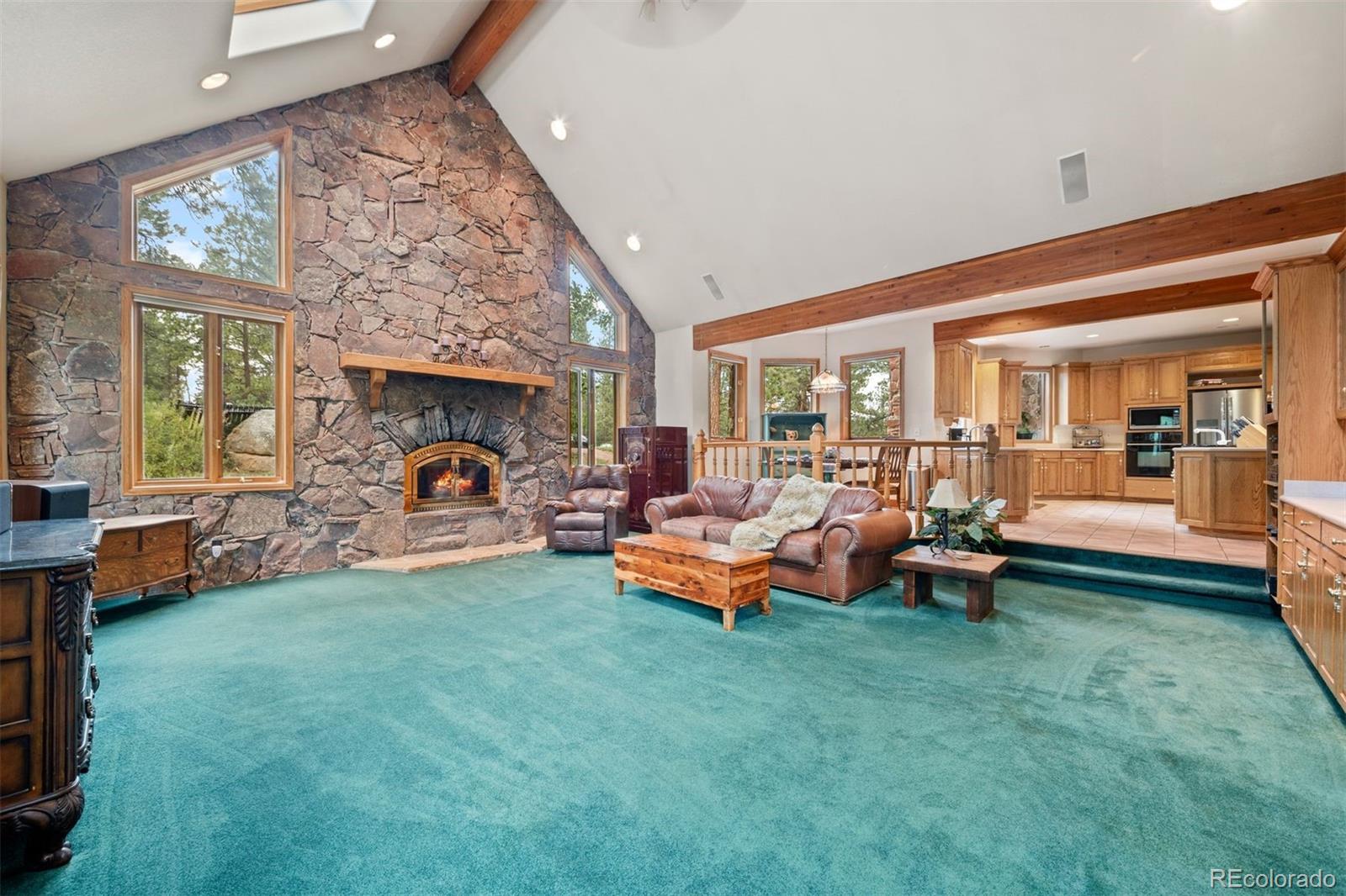 MLS Image #7 for 21206  spring creek road,buffalo creek, Colorado