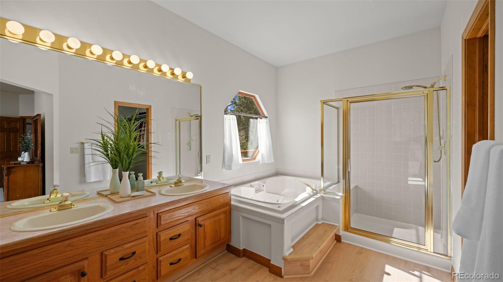 MLS Image #11 for 9710  brassie court,colorado springs, Colorado